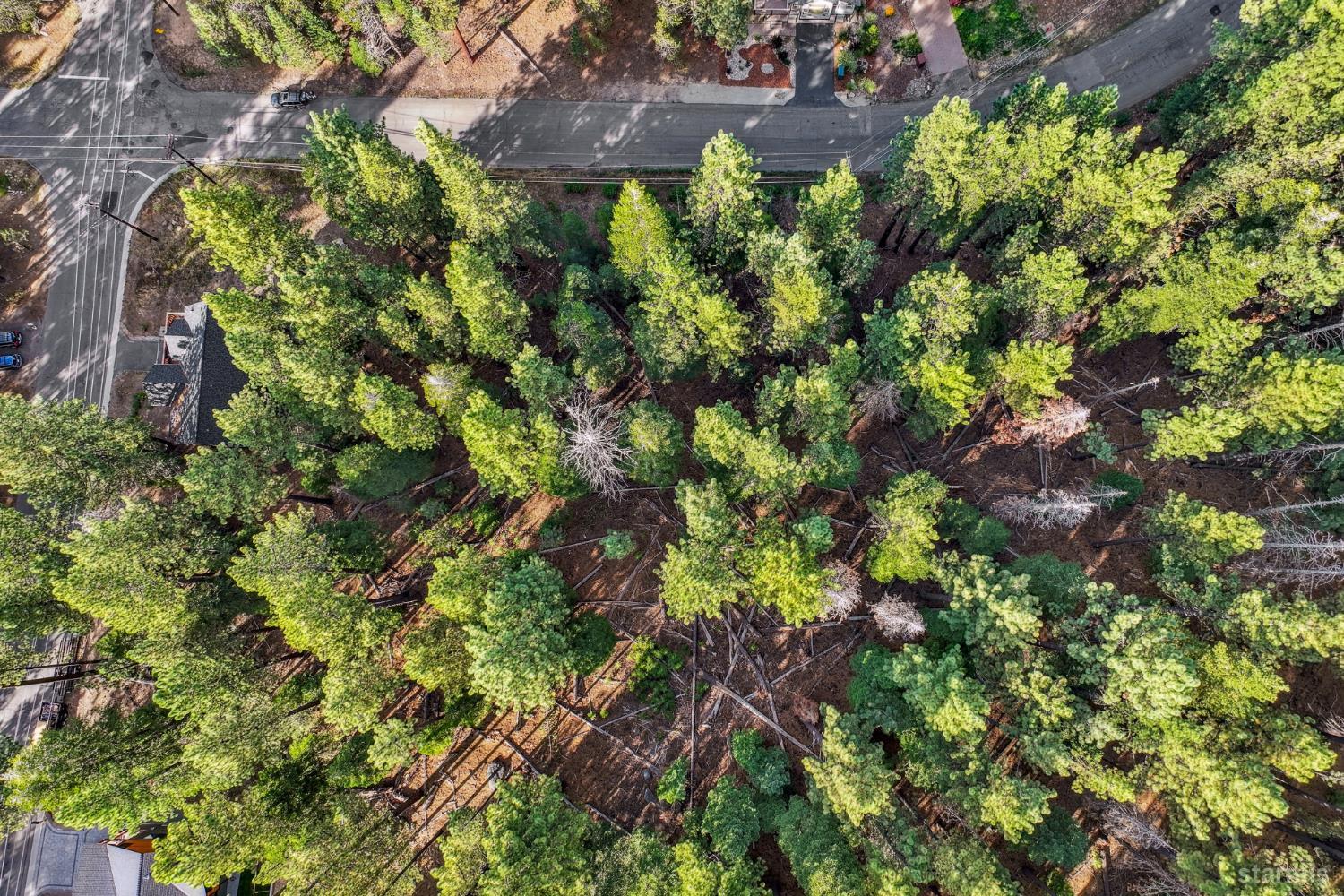 1948 Jicarilla Drive South Lake Tahoe, CA 96150 - Photo 3 of 19