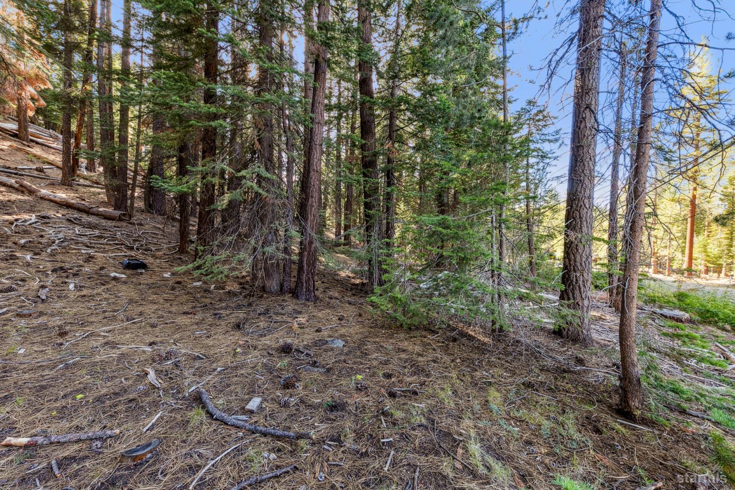 1948 Jicarilla Drive South Lake Tahoe, CA 96150 - Photo 8 of 19