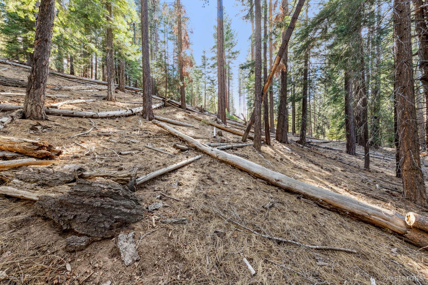 1948 Jicarilla Drive South Lake Tahoe, CA 96150 - Photo 9 of 19