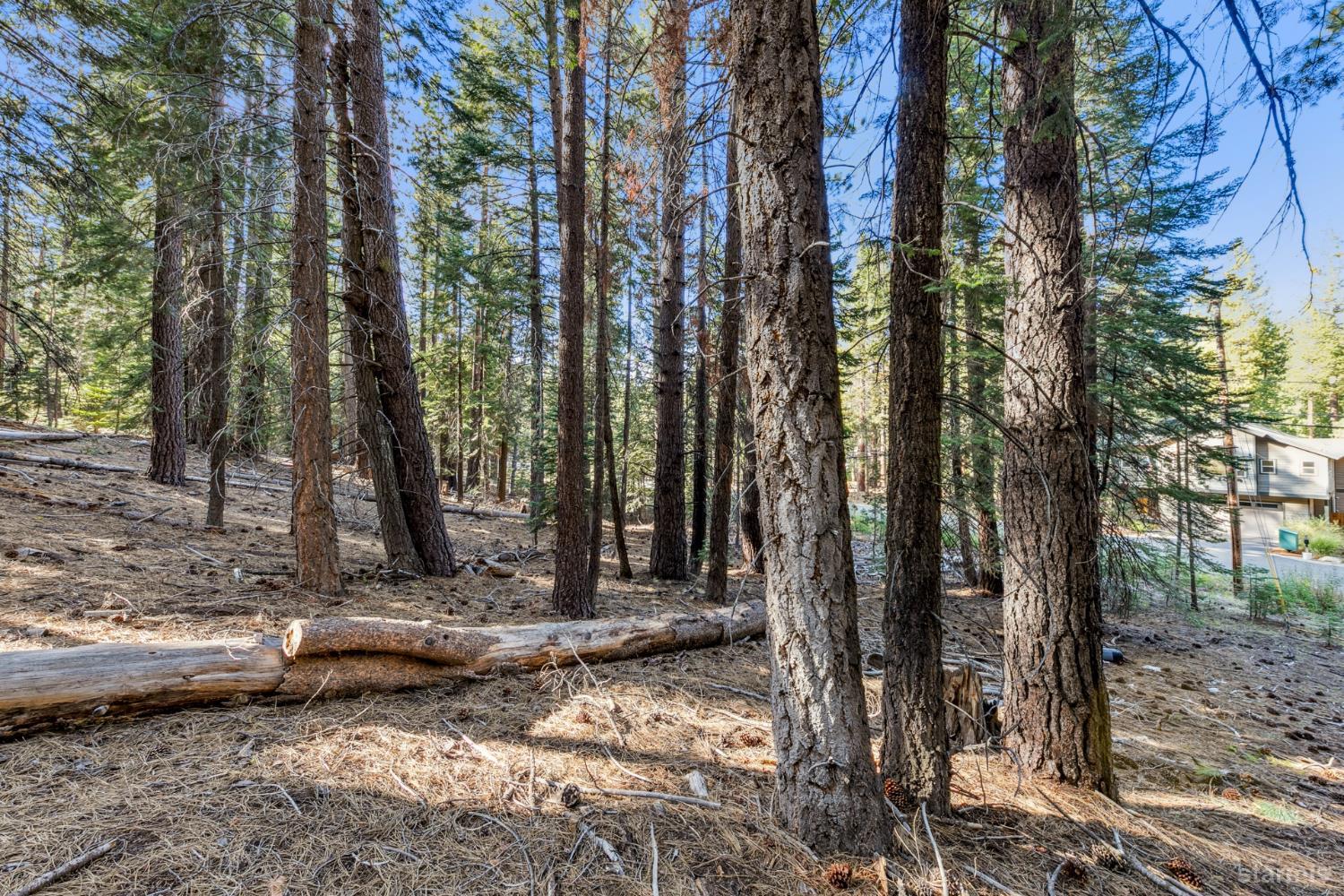 1948 Jicarilla Drive South Lake Tahoe, CA 96150 - Photo 10 of 19
