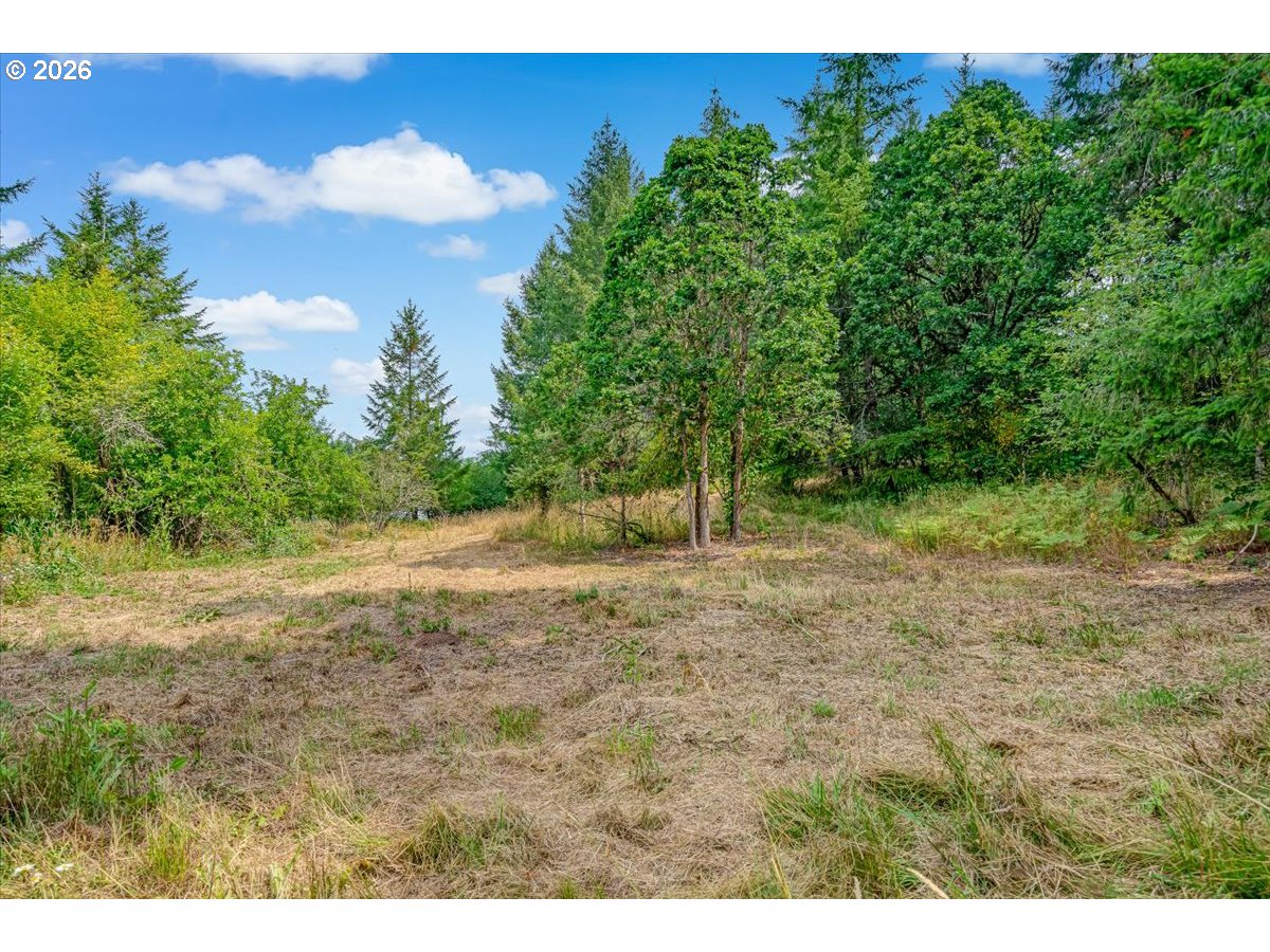 4825 Cooper Hollow Road Dallas, OR 97338 - Photo 45 of 48