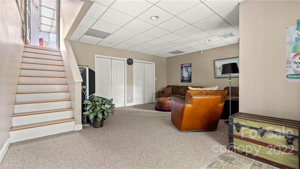 11147 Scullers Run Tega Cay, SC 29708 - Photo 27 of 39 a room with furniture and a potted plant