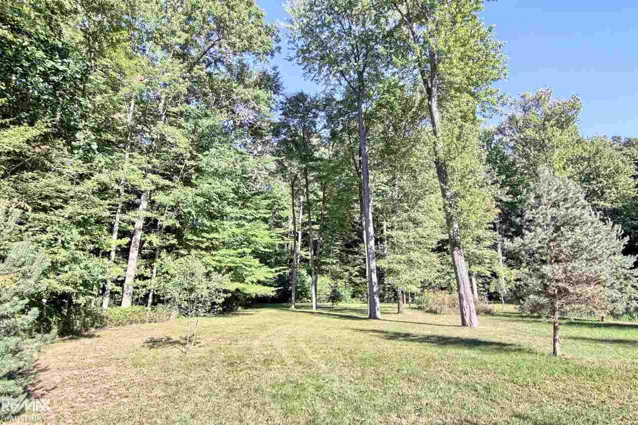8335 Morrow Road Algonac, MI 48001 - Photo 5 of 45 31290448-4.JPG