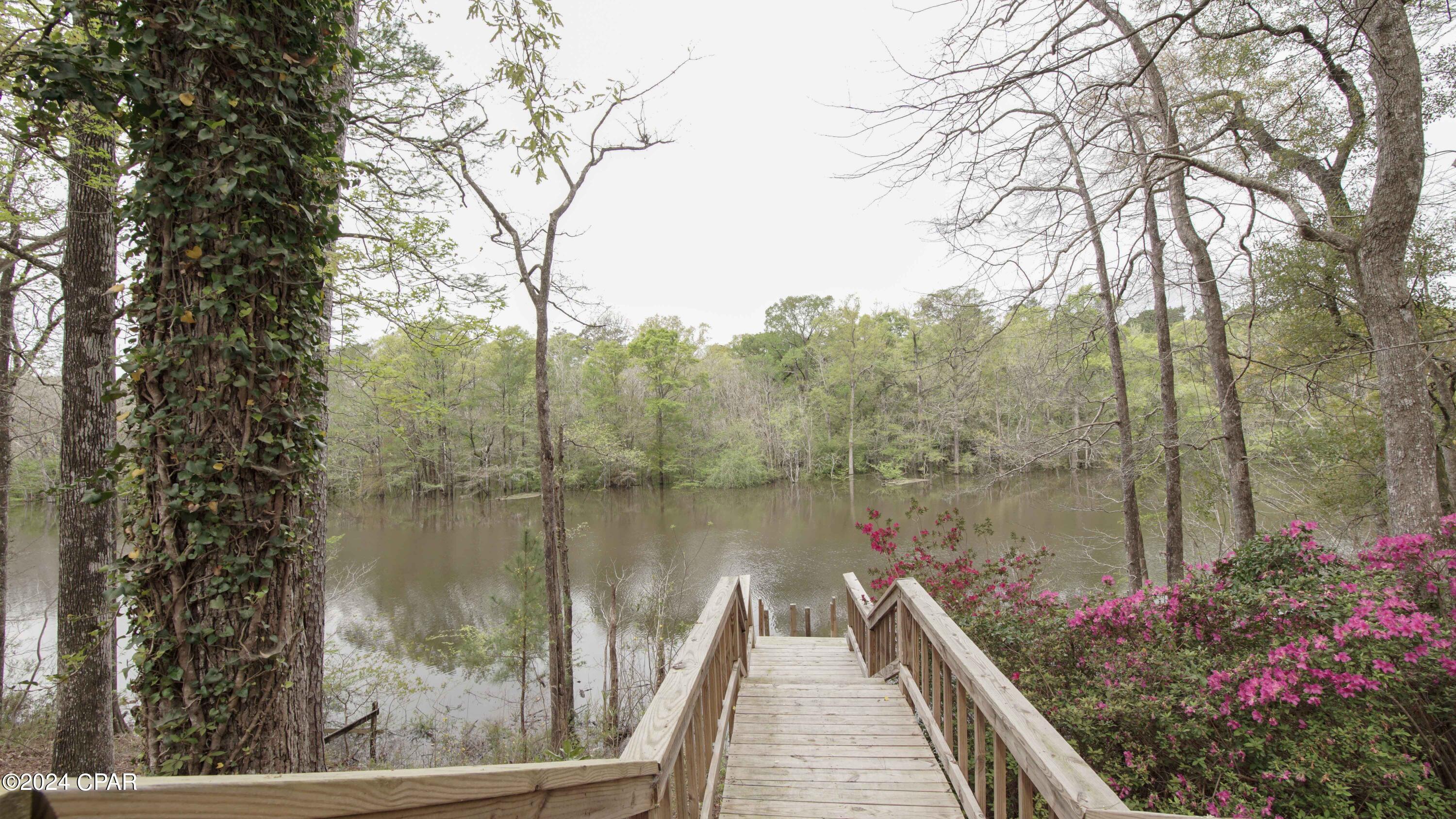 3640 Lucianne Road Vernon, FL 32462 - Photo 23 of 116