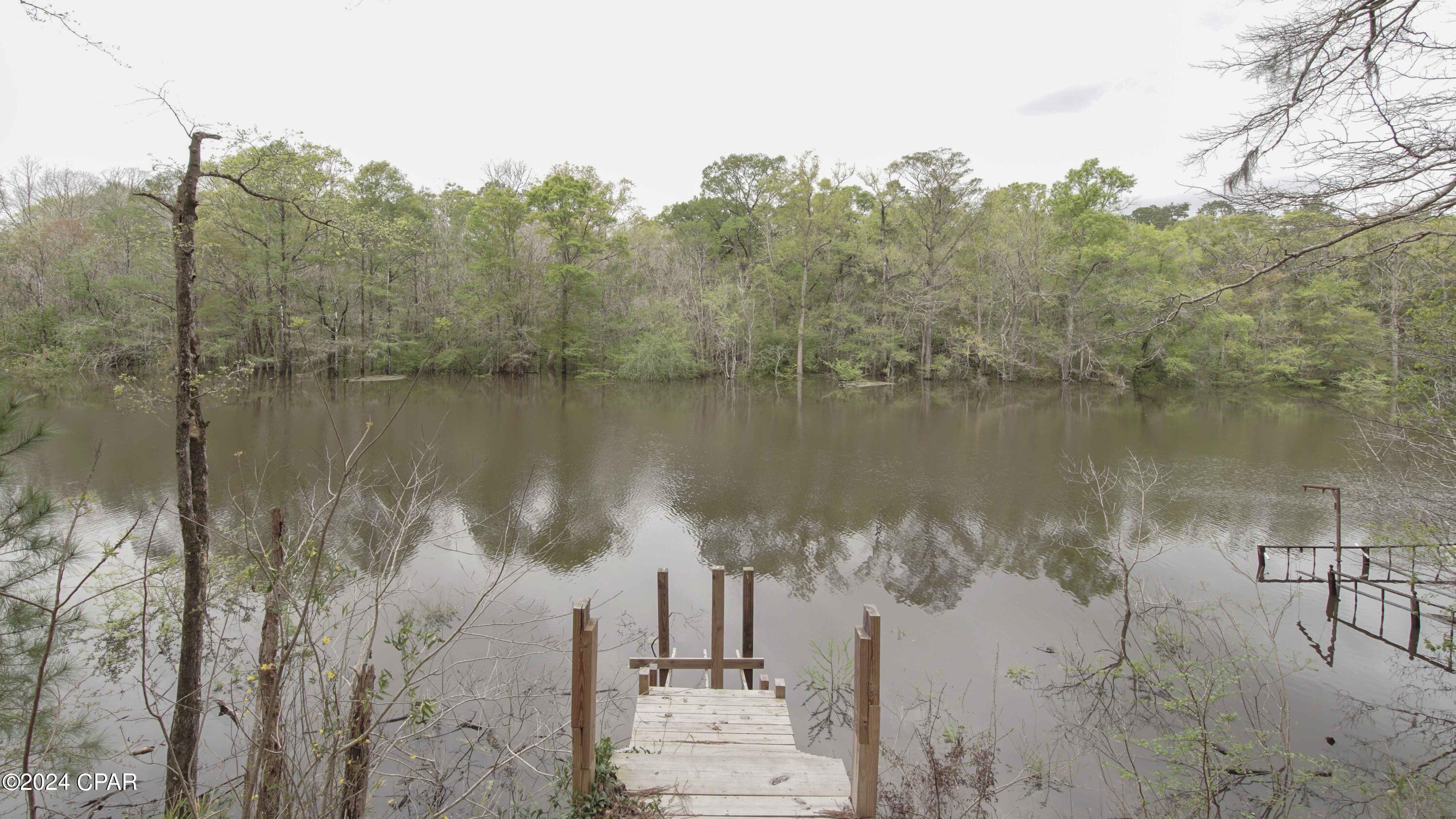 3640 Lucianne Road Vernon, FL 32462 - Photo 24 of 116