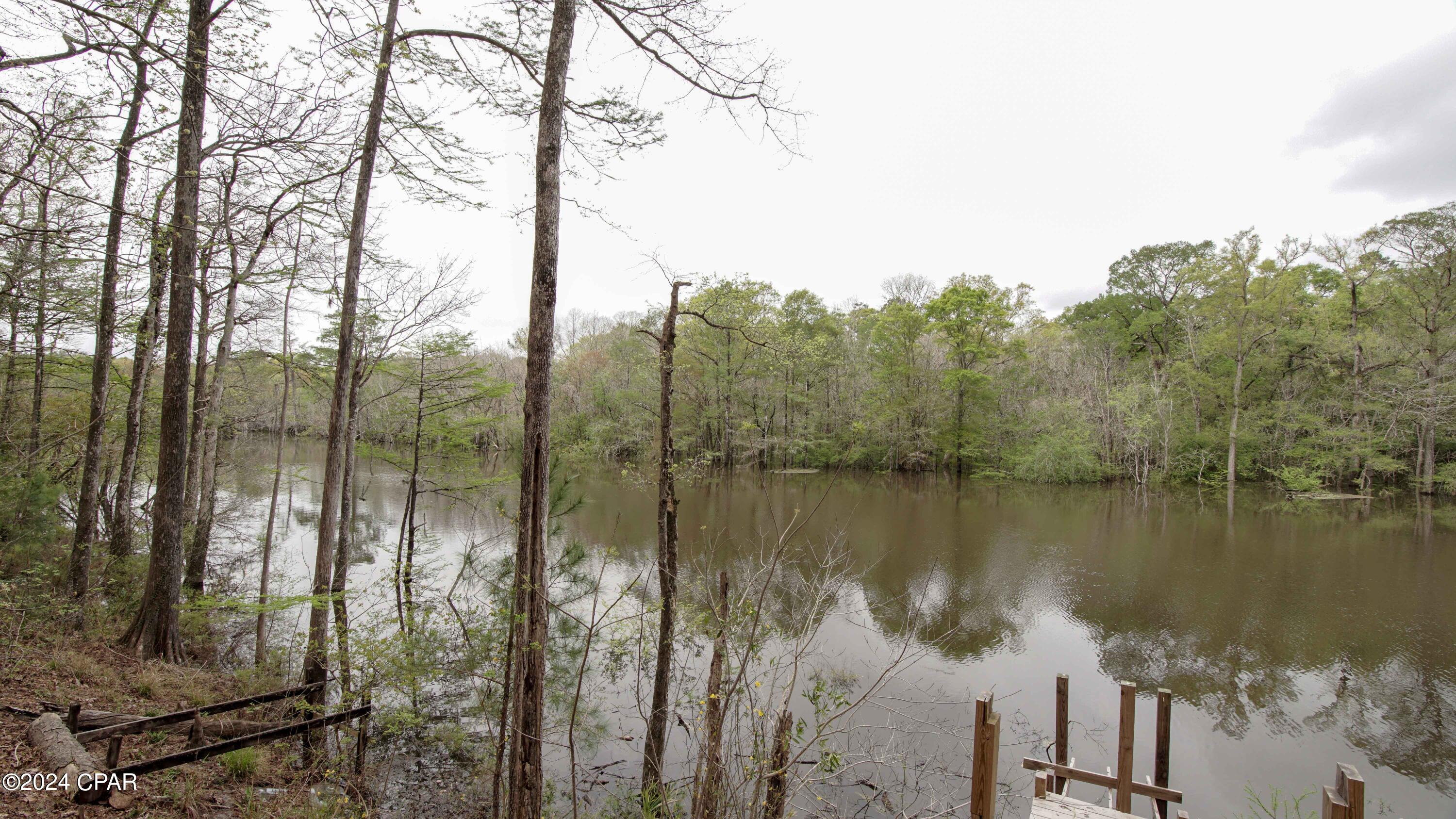 3640 Lucianne Road Vernon, FL 32462 - Photo 26 of 116