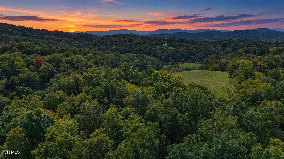 Tbd Huffman Road Piney Flats, TN 37686 - Photo 8 of 17 08-DTD