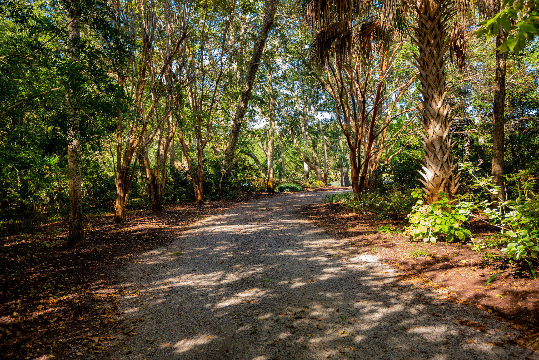 1128 Fort Lamar Road Charleston, SC 29412 - Photo 51 of 67 1128FortLamarRoad-KeenEyeMarketing-46