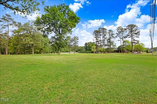 a view of a yard with big trees