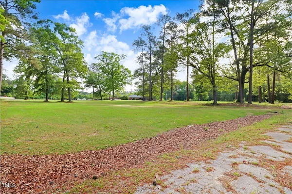 a view of a trees in a yard