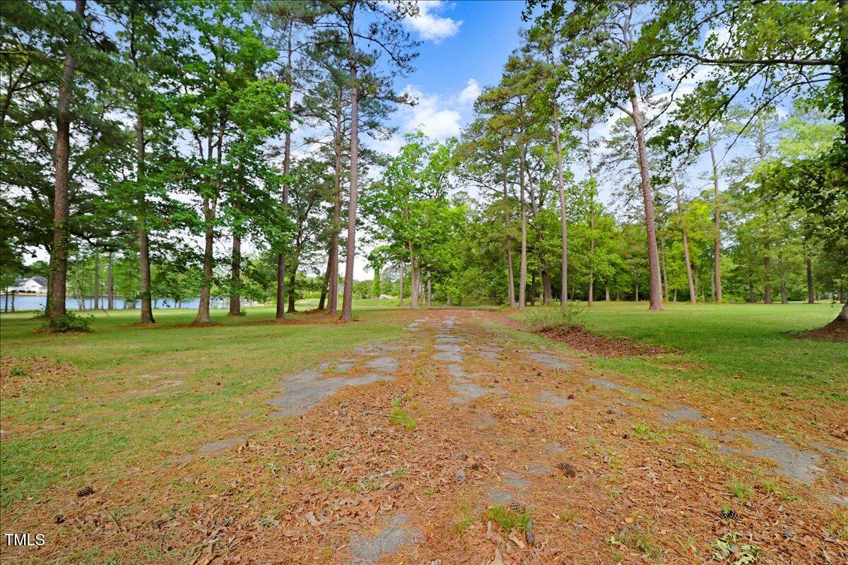 0 Country Club Road Smithfield, NC 27577 - Photo 18 of 24 a view of a trees in a yard