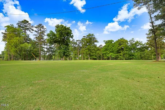 a view of field with trees