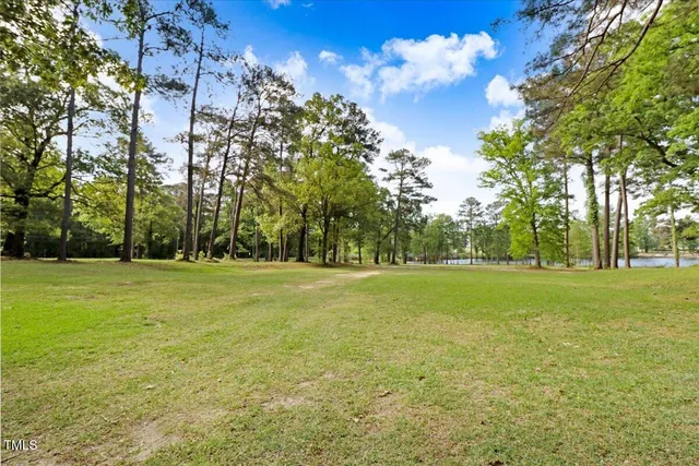 a view of a field with trees in the background