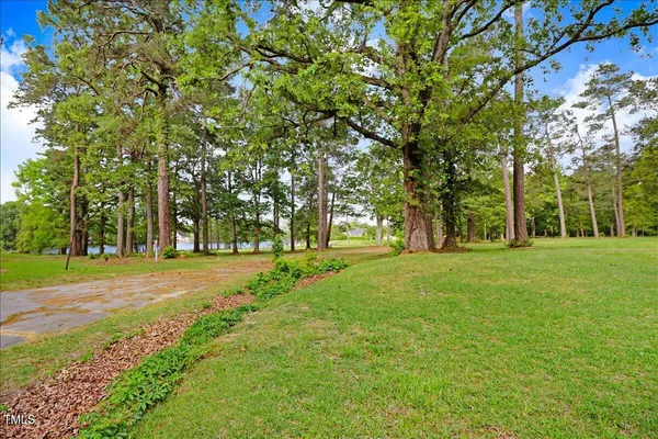 a huge green field with lots of trees