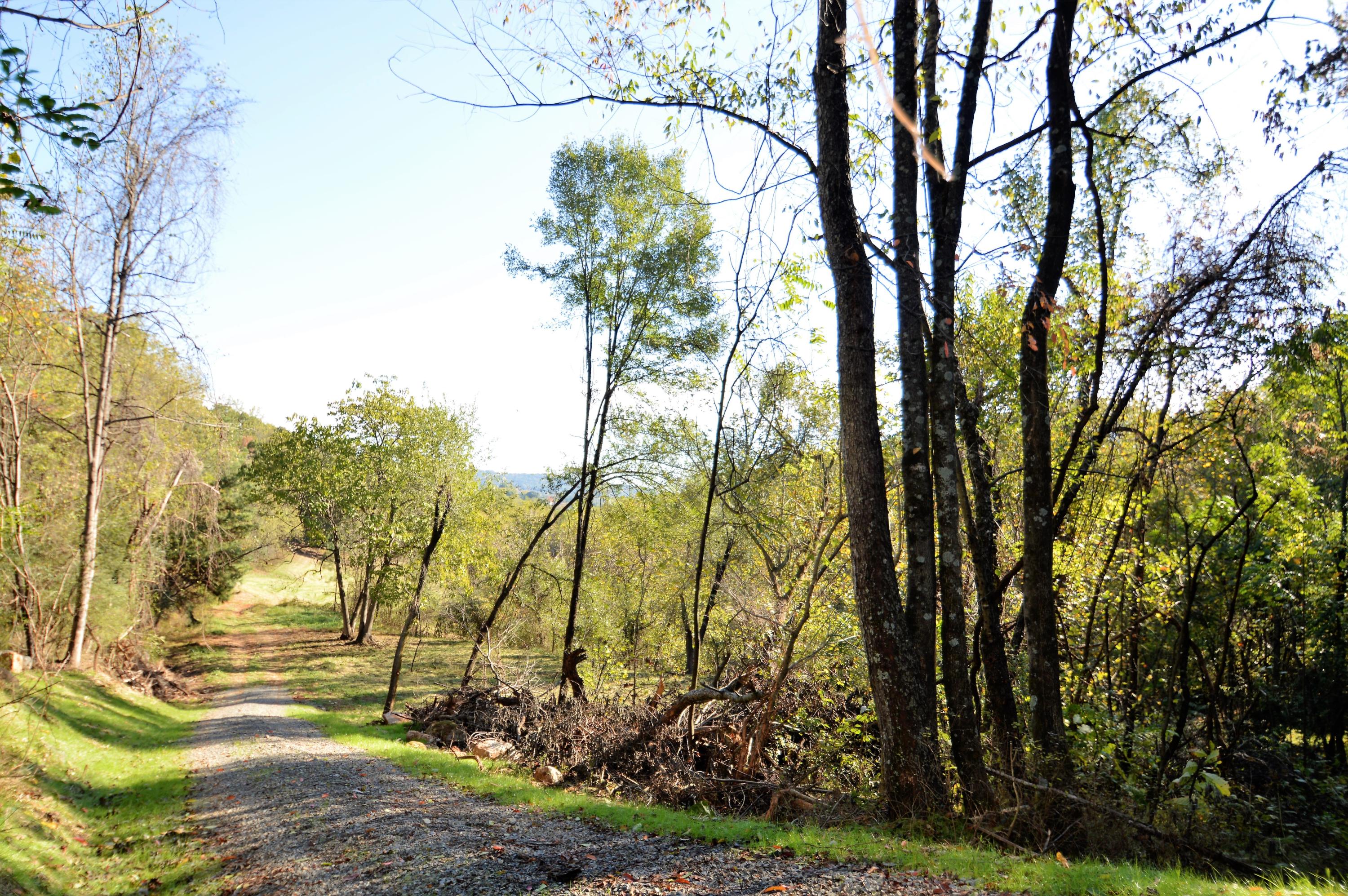 0 Bluff Road Roanoke, VA 24014 - Photo 11 of 17 a view of backyard of house