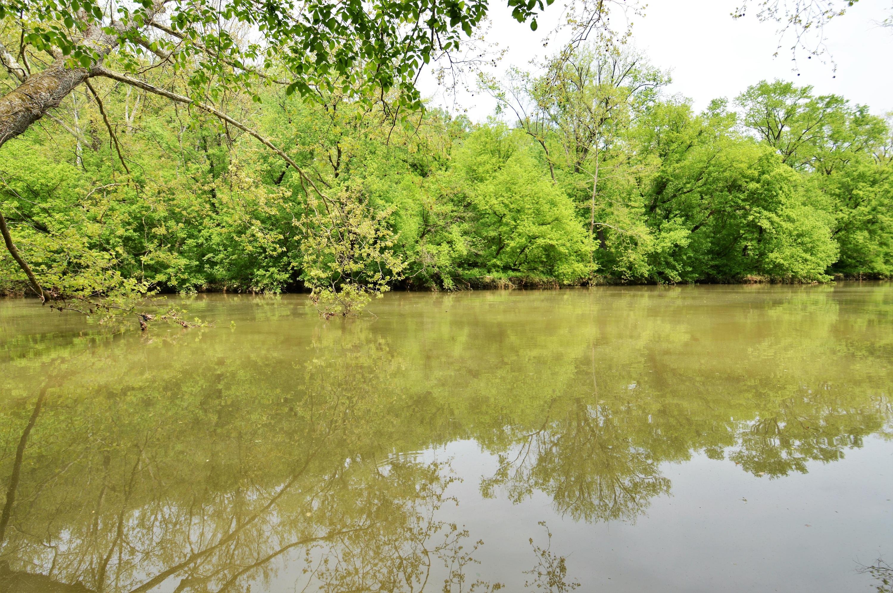 0 Bluff Road Roanoke, VA 24014 - Photo 14 of 17