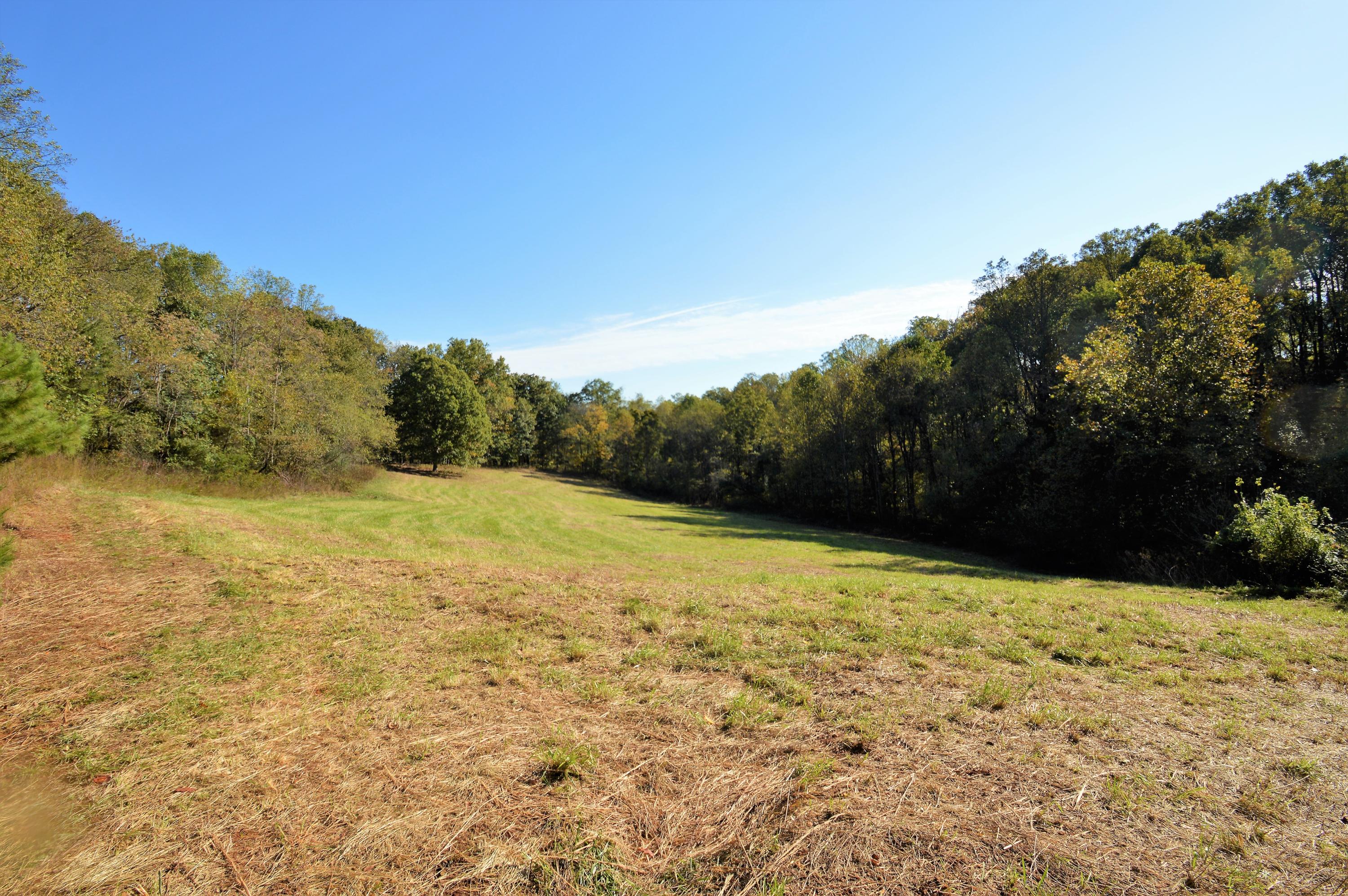 0 Bluff Road Roanoke, VA 24014 - Photo 3 of 17 a view of a yard with a house