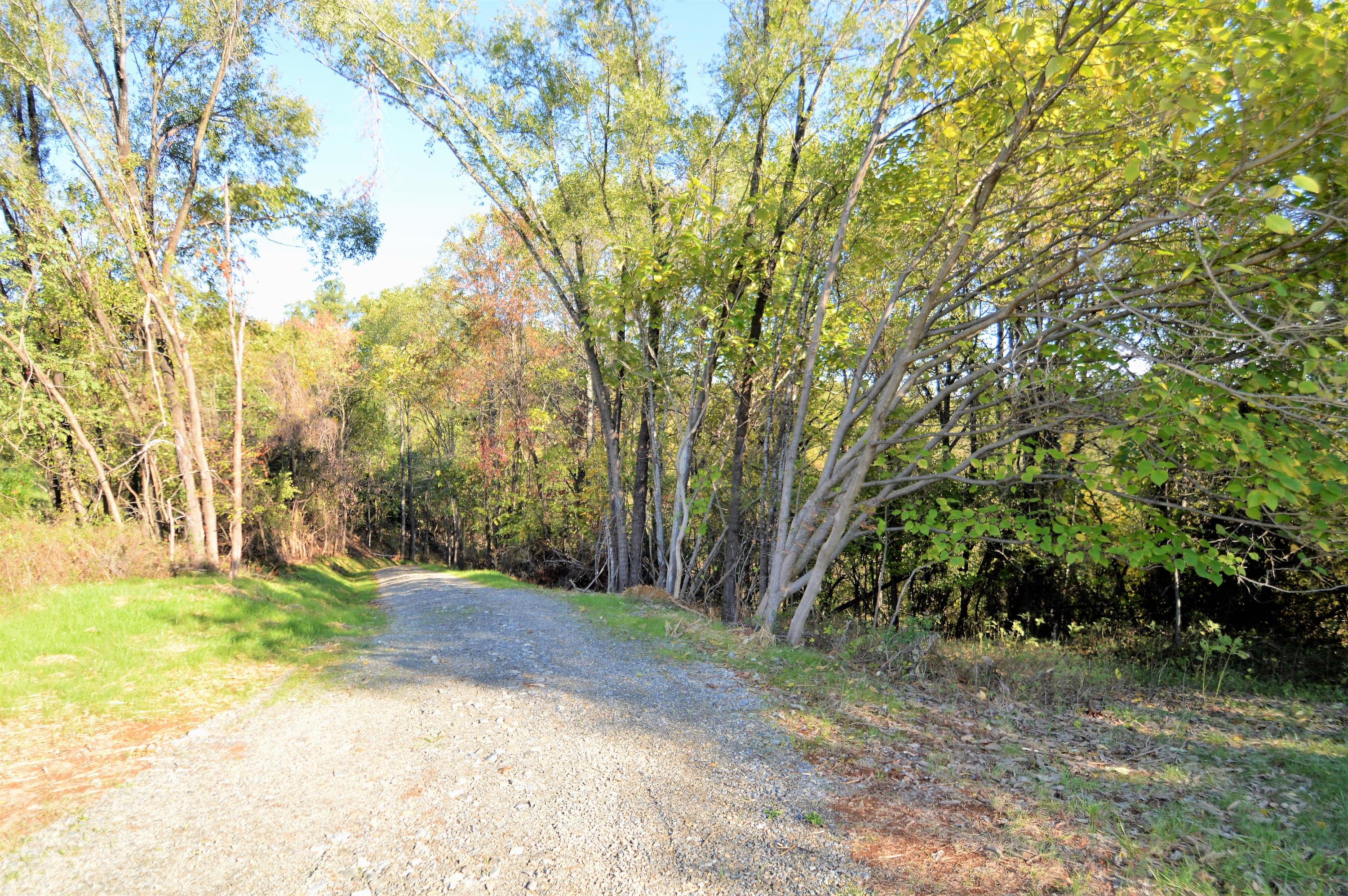 0 Bluff Road Roanoke, VA 24014 - Photo 8 of 17 a view of backyard with green space
