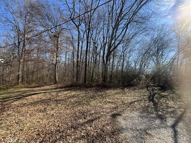 a view of a backyard of the house
