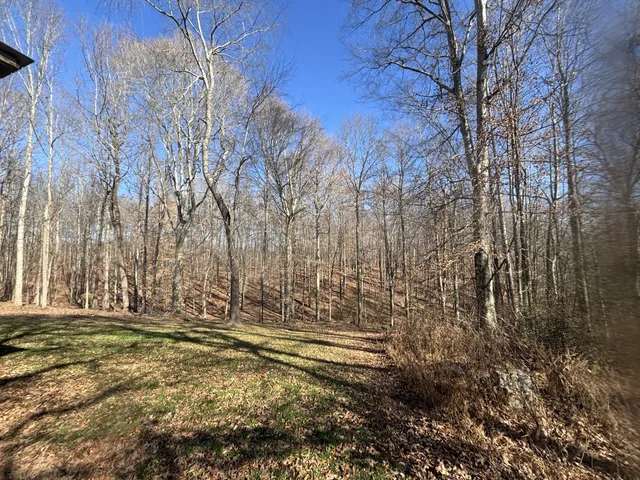 a view of house with backyard