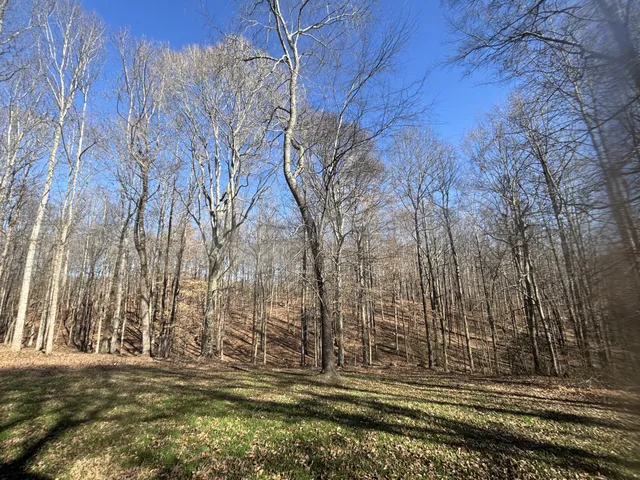 a view of a backyard of the house