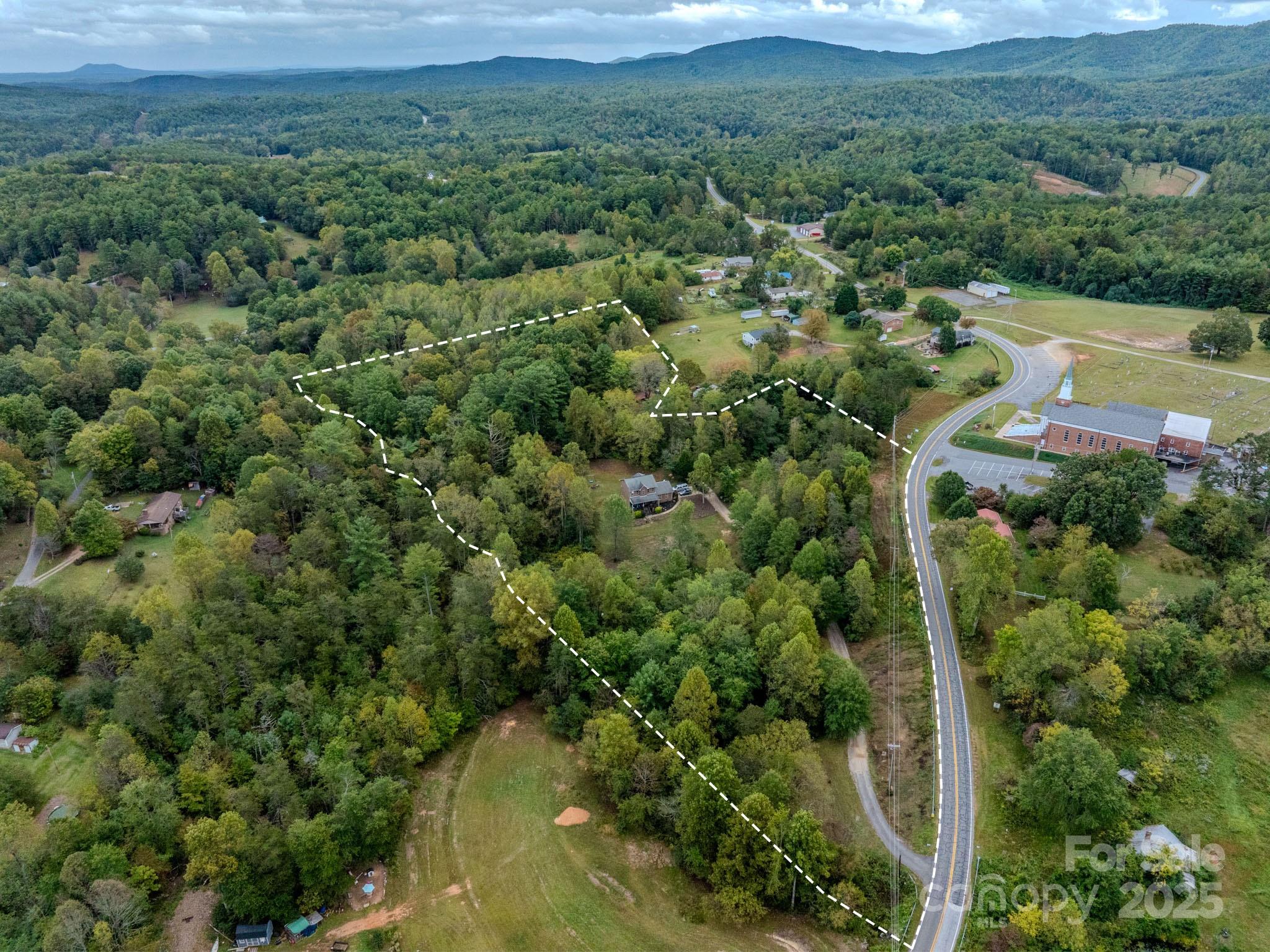 an aerial view of green landscape with trees houses and mountain view