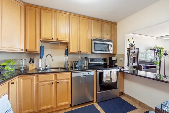 a kitchen with stainless steel appliances granite countertop a stove a sink dishwasher and a microwave