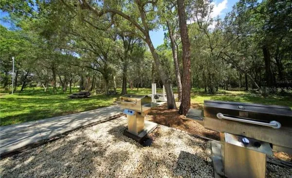 a view of a park with large trees