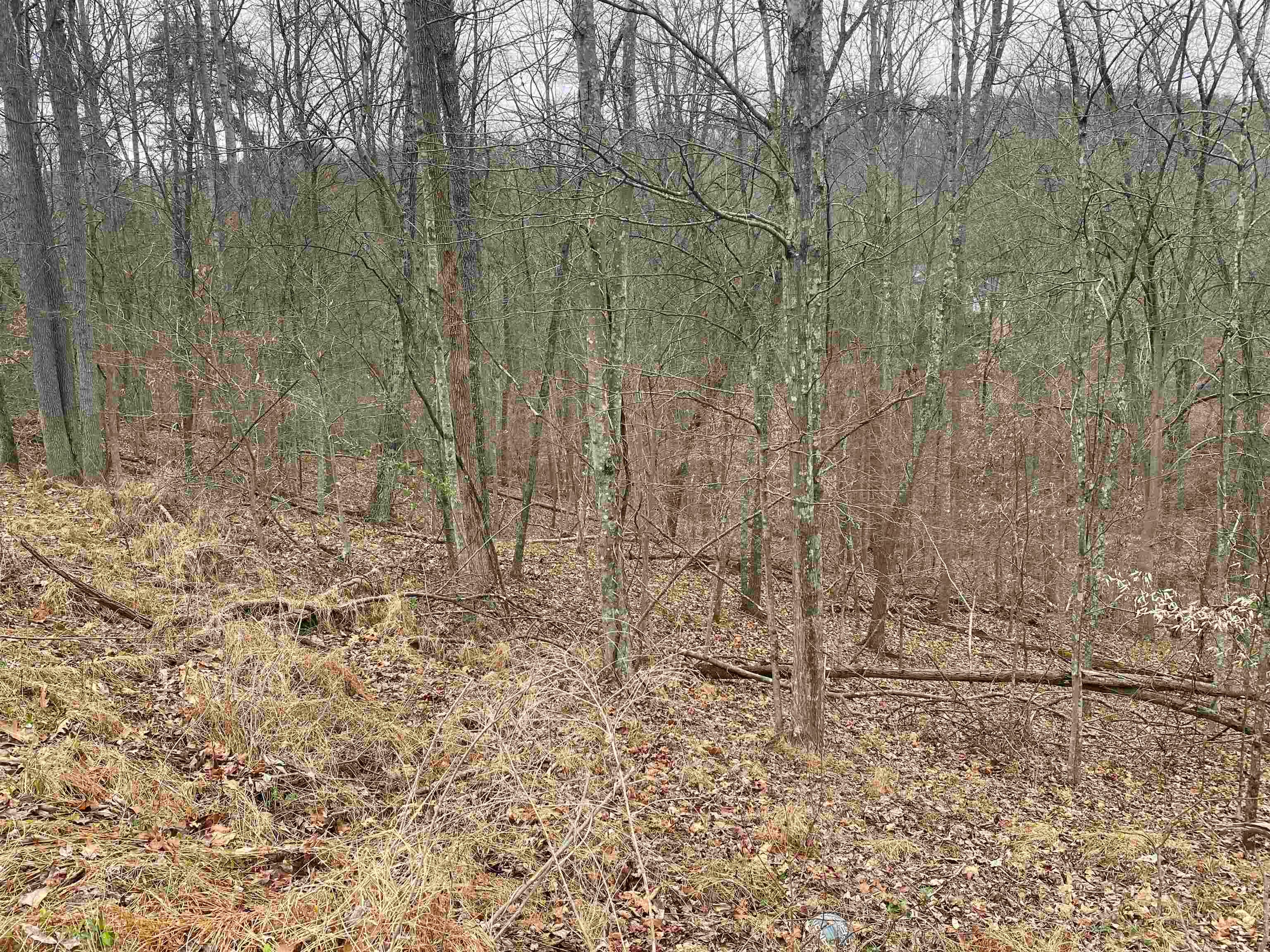 701 Tower Road Hurricane, WV 25526 - Photo 12 of 20 Gallery Image 12