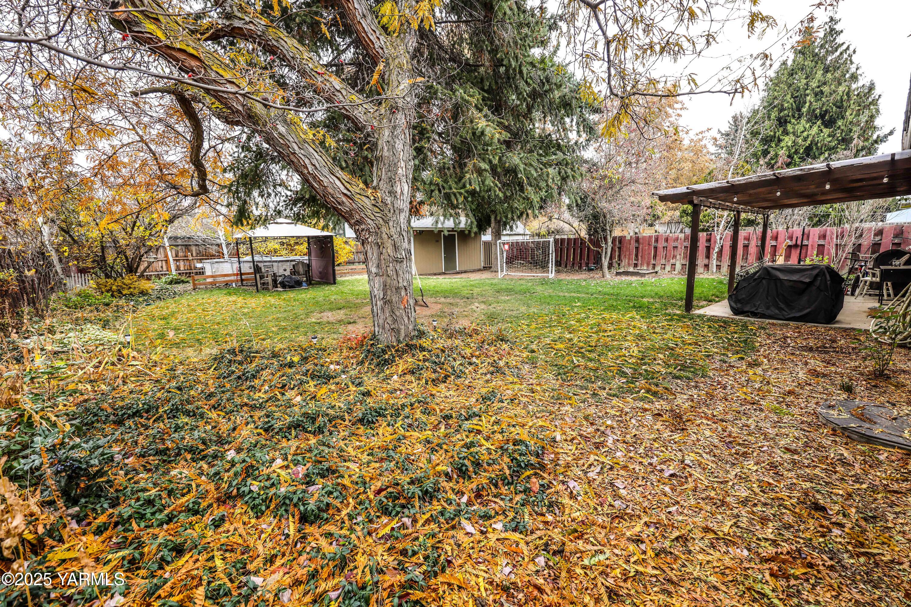 1118 South 44th Avenue Yakima, WA 98908 - Photo 7 of 29 Back yard