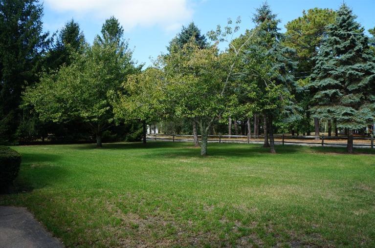 335 Cooks Brook Road Eastham, MA 02642 - Photo 9 of 35 Additional Photo
