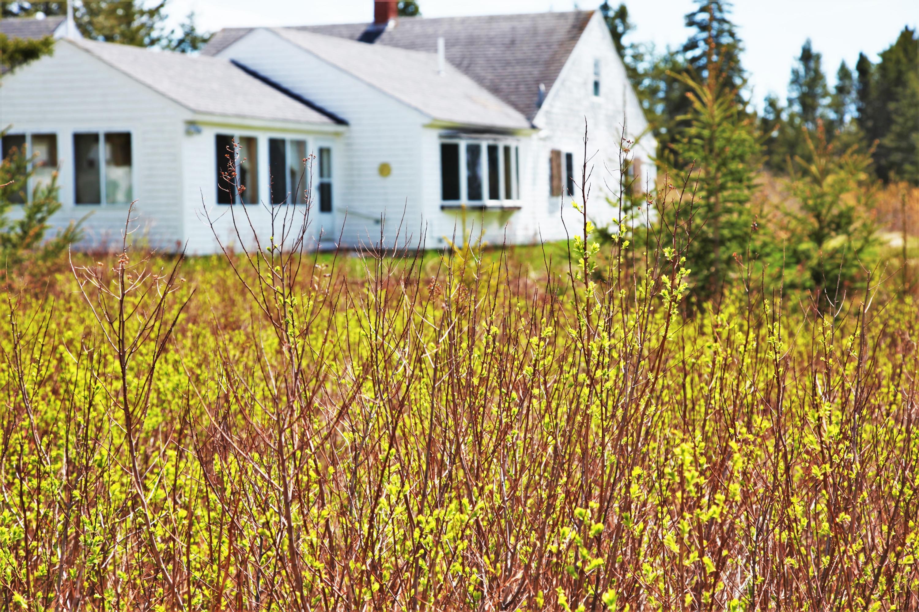 279 Little Machias Road Cutler, ME 04626 - Photo 6 of 50 IMG_0444 (2)