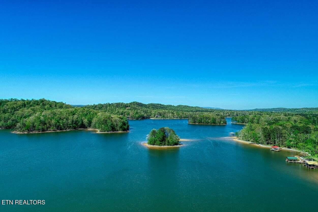 111 Brown Road Ten Mile, TN 37880 - Photo 50 of 51 111 Brown Rd