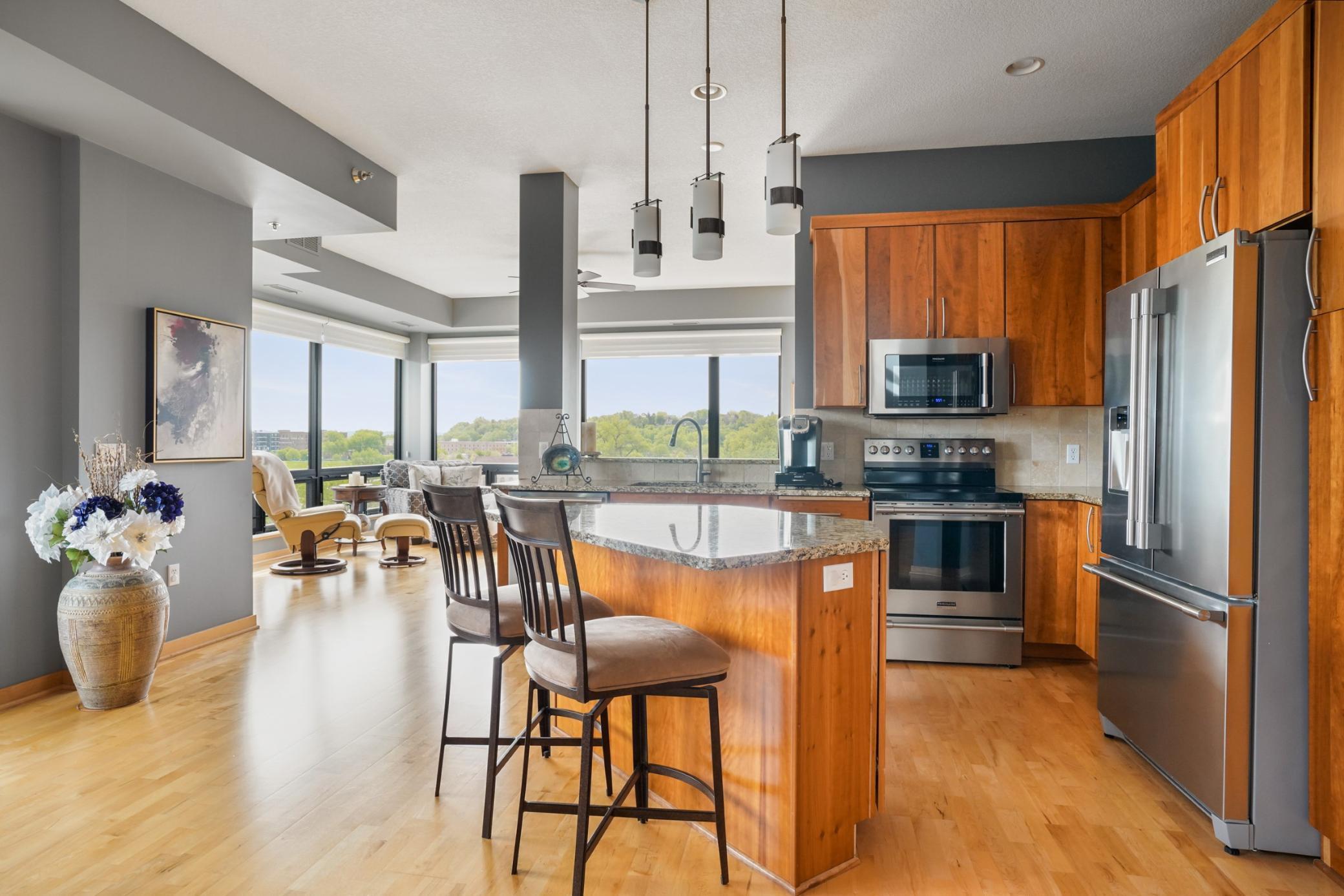 284 Spring Street, Unit 402 St. Paul, MN 55102 - Photo 12 of 46 Gallery Image 12