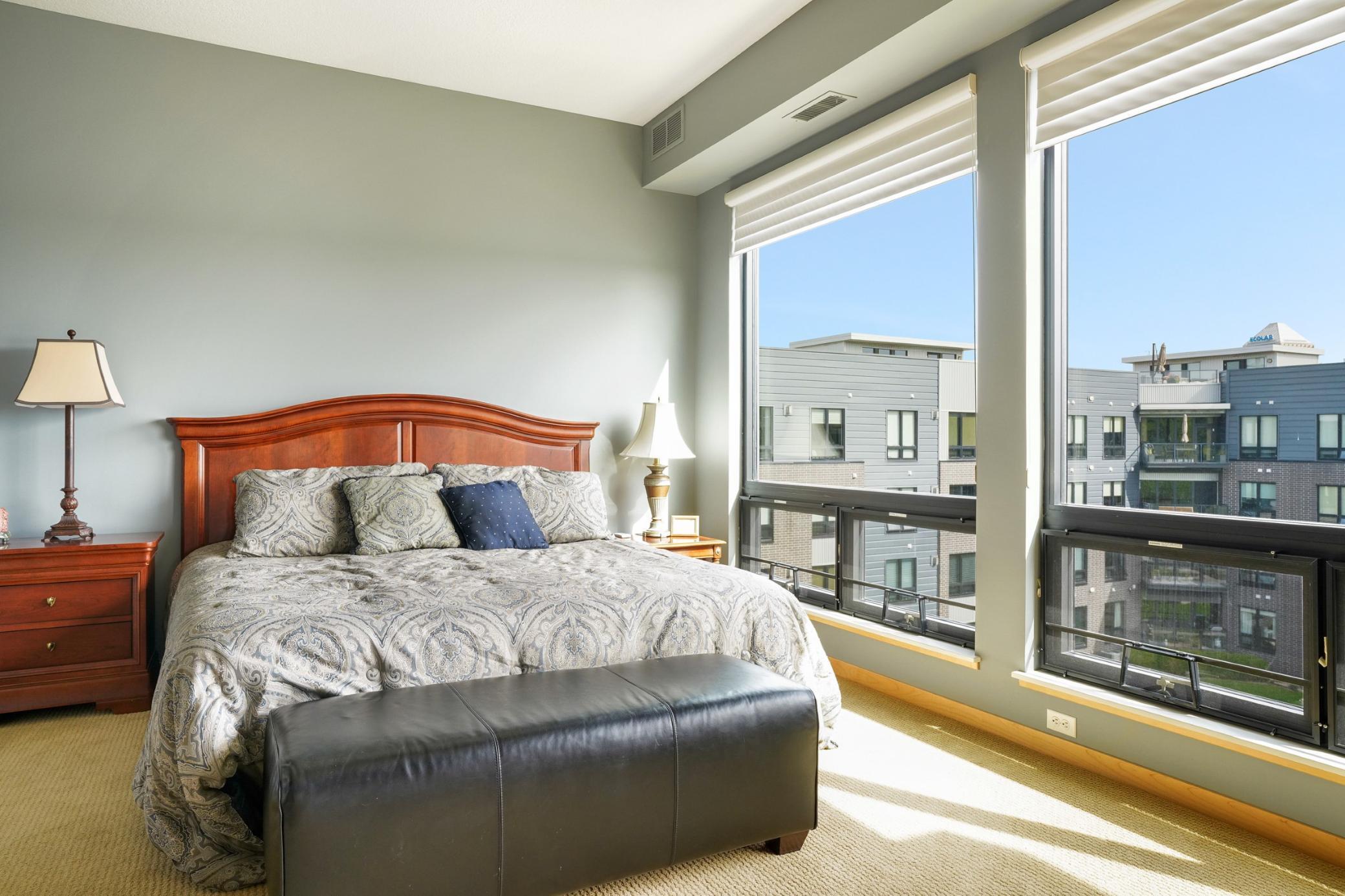 284 Spring Street, Unit 402 St. Paul, MN 55102 - Photo 19 of 46 Gallery Image 19