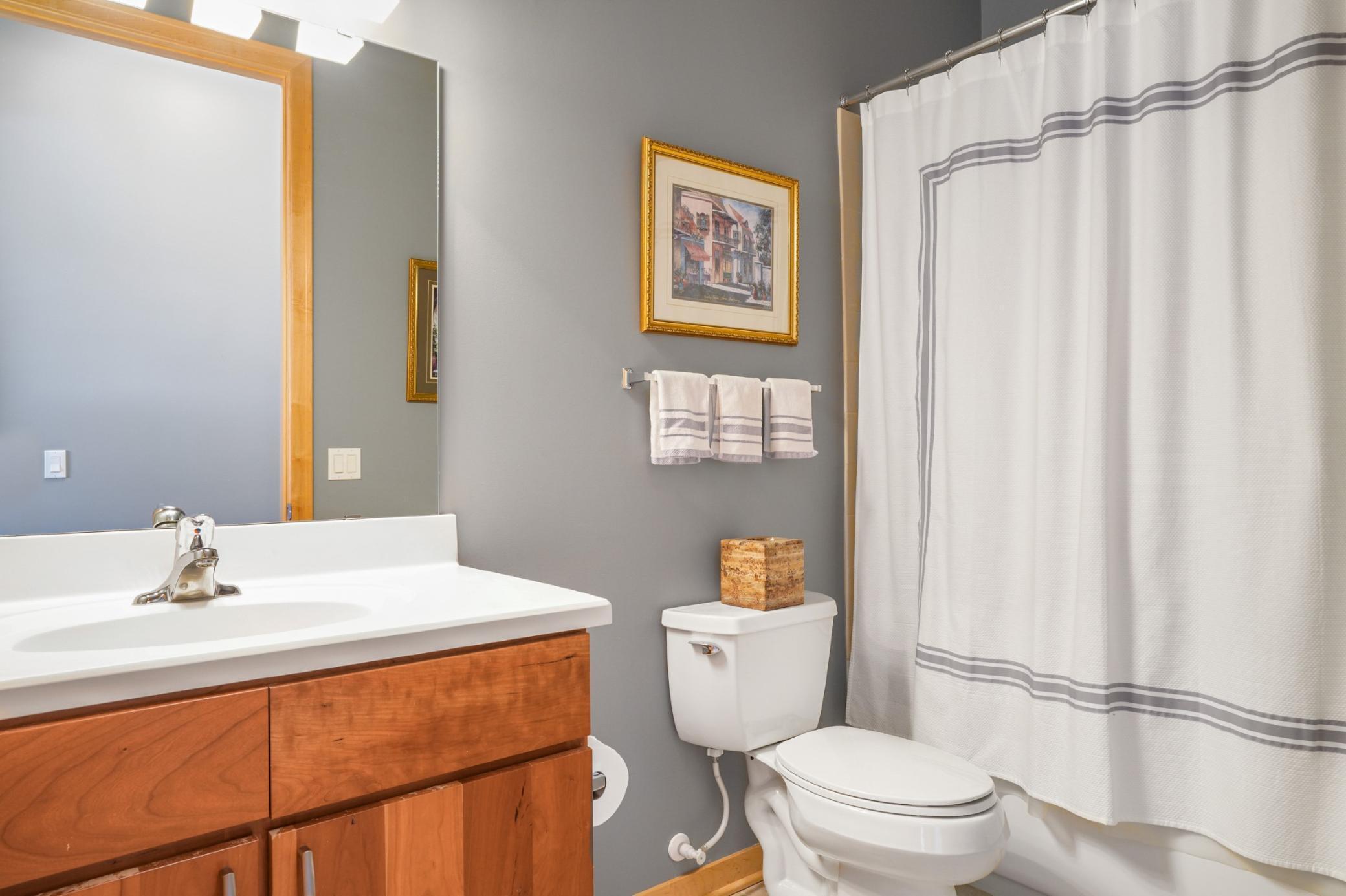 284 Spring Street, Unit 402 St. Paul, MN 55102 - Photo 26 of 46 Gallery Image 26