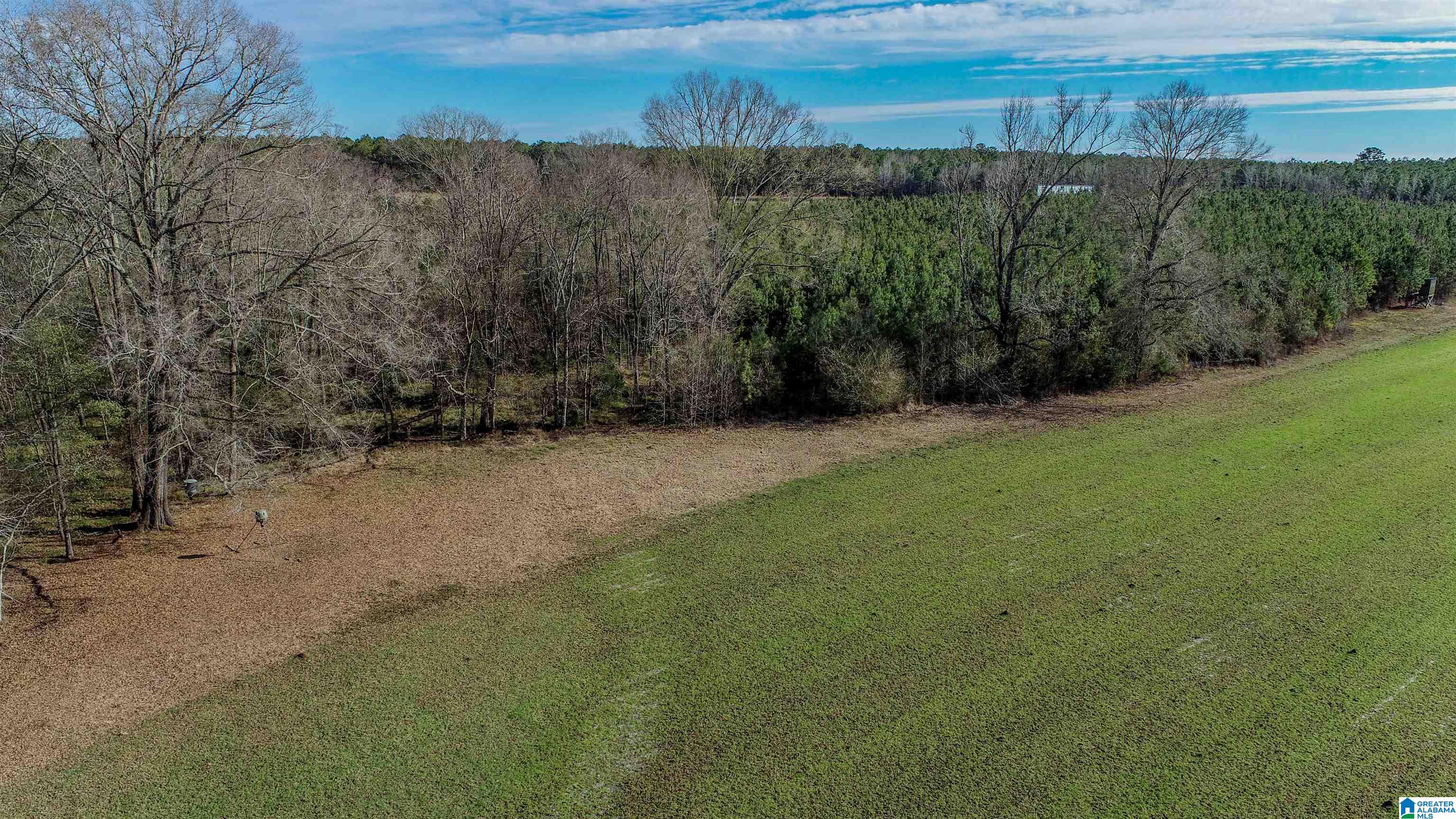 8619 County Road 33 Linden, AL 36748 - Photo 20 of 54
