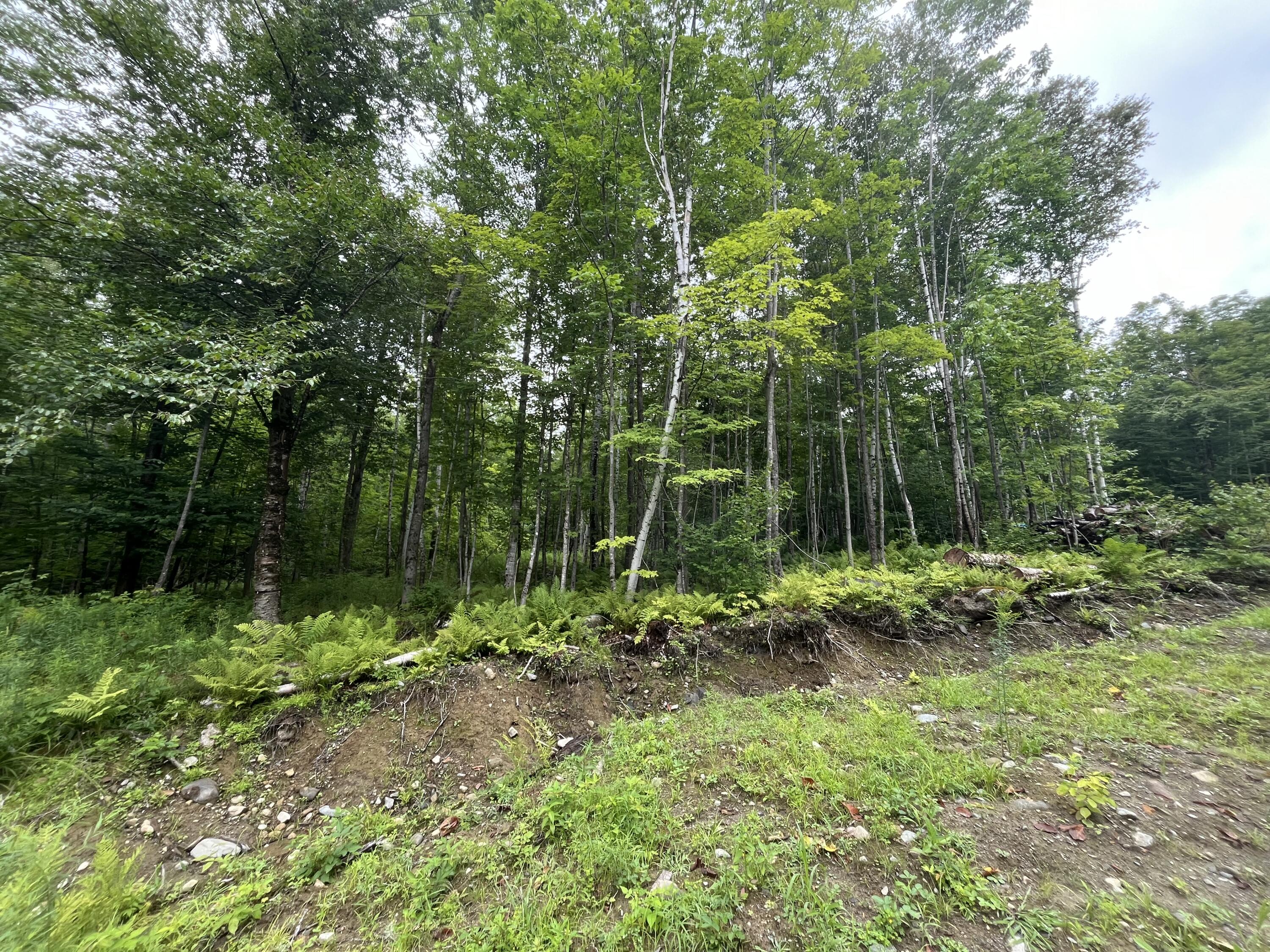 225 Music Road Farmington, ME 04938 - Photo 10 of 26 11