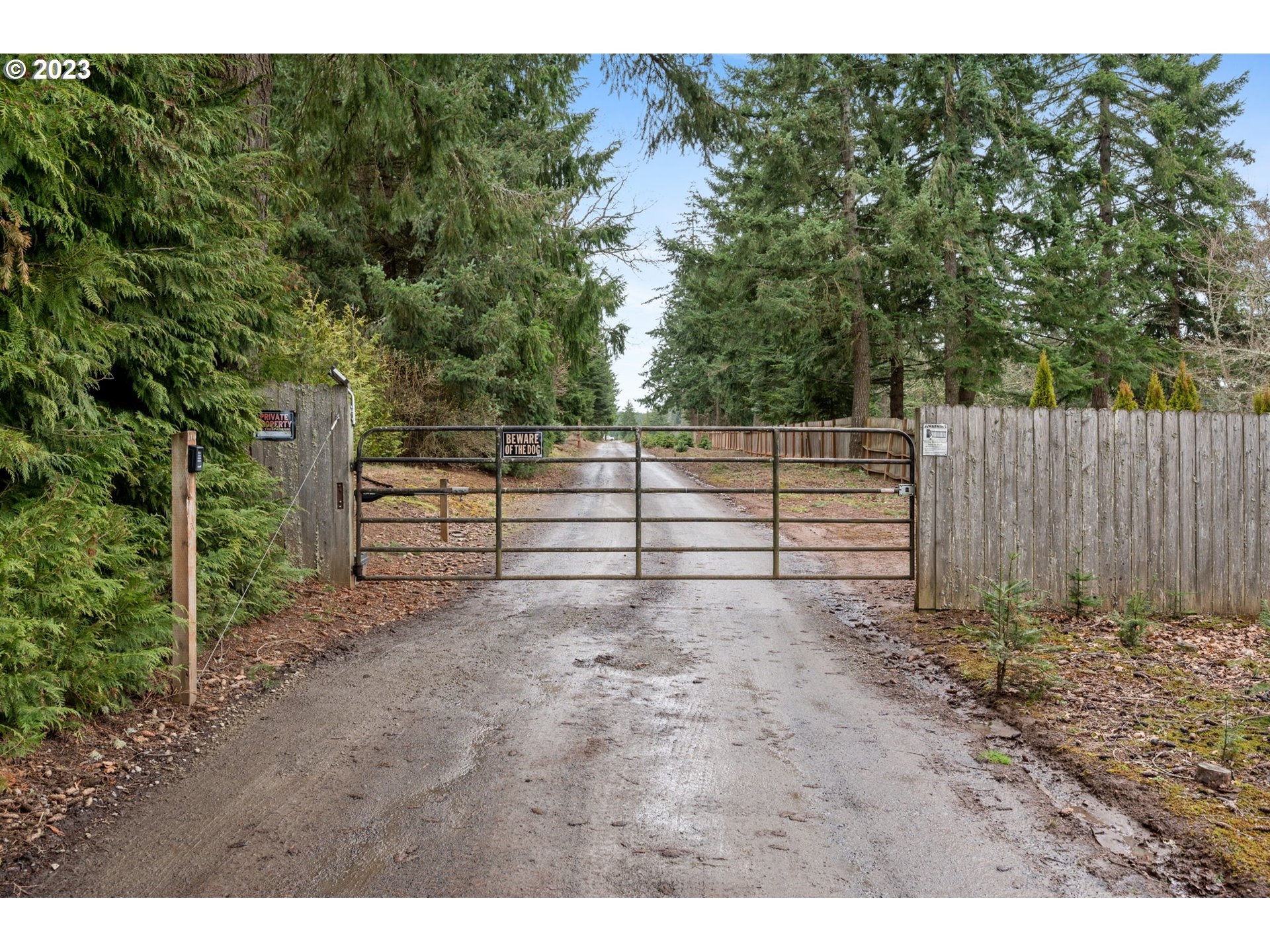 15750 South Pierce Road Molalla, OR 97038 - Photo 5 of 48 Driveway