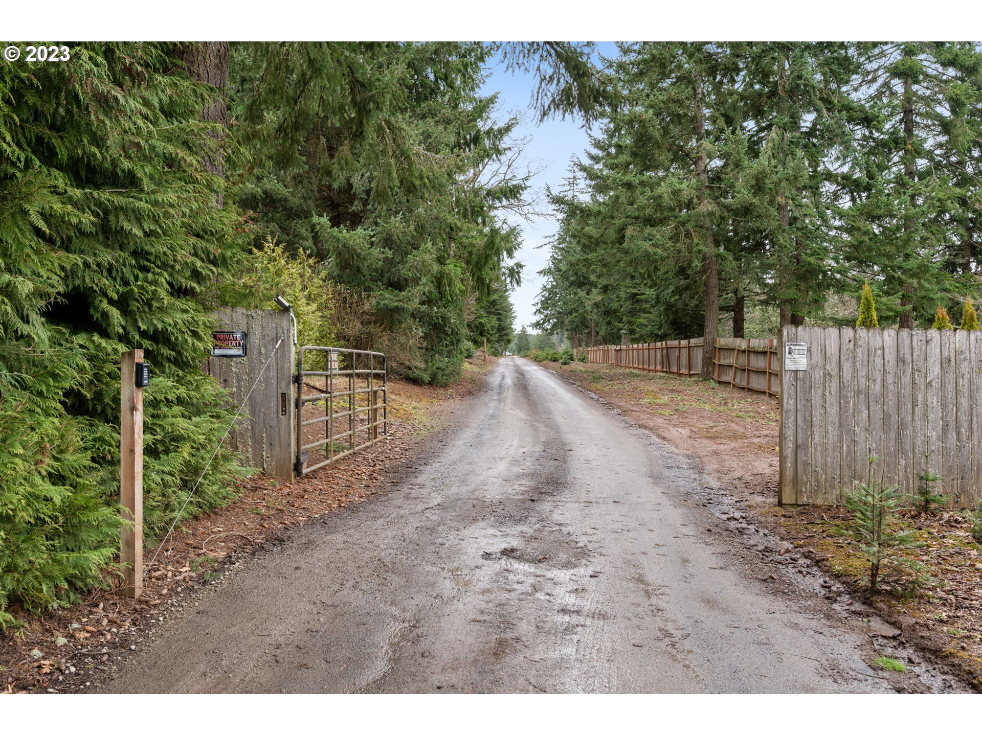 15750 South Pierce Road Molalla, OR 97038 - Photo 6 of 48 Driveway