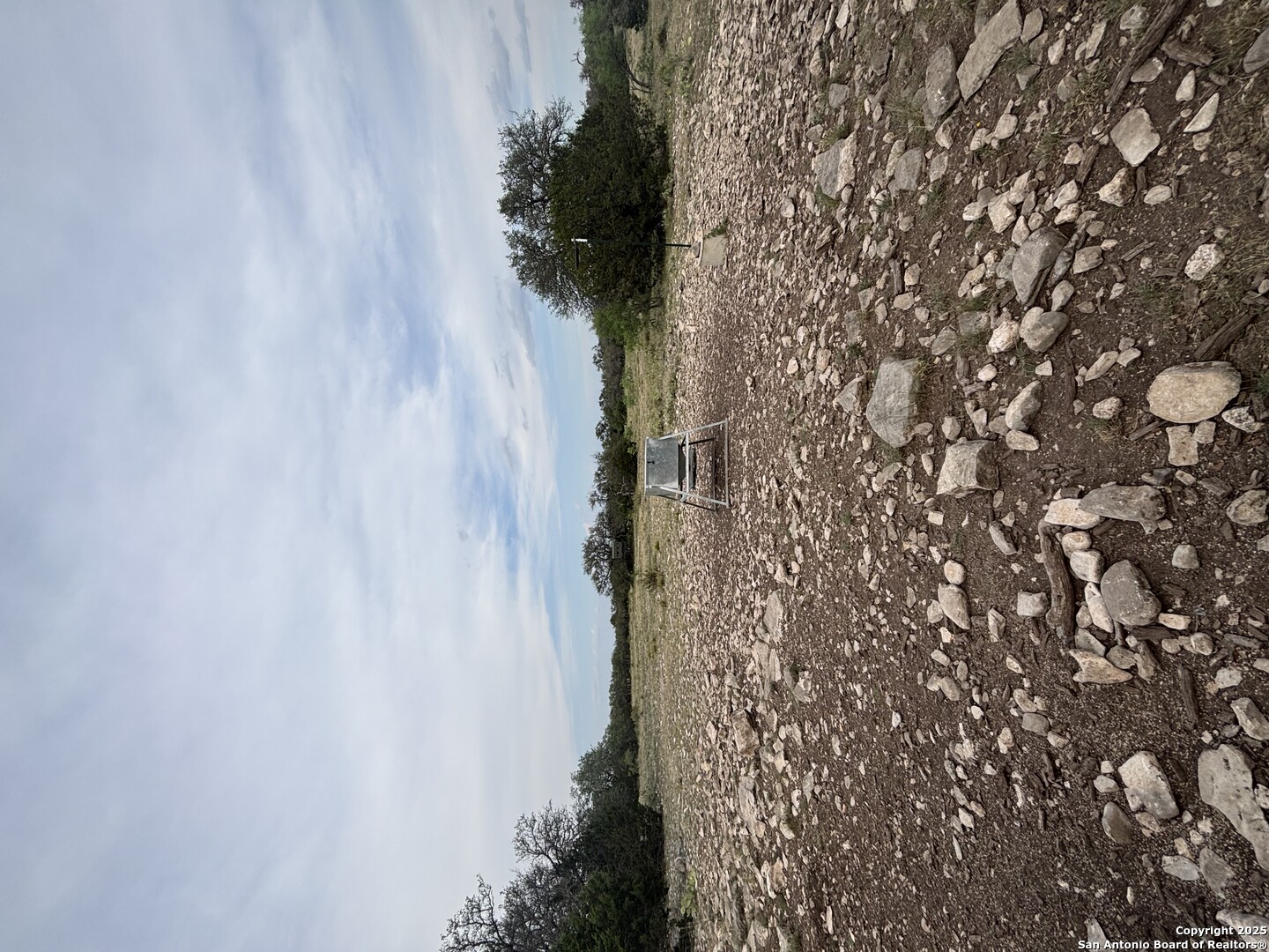 1085 Fallow Road Christoval, TX 76935 - Photo 13 of 26 a close up of a plant