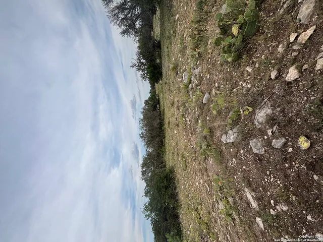 a view of a livingroom with furniture a bookshelf and a potted plant