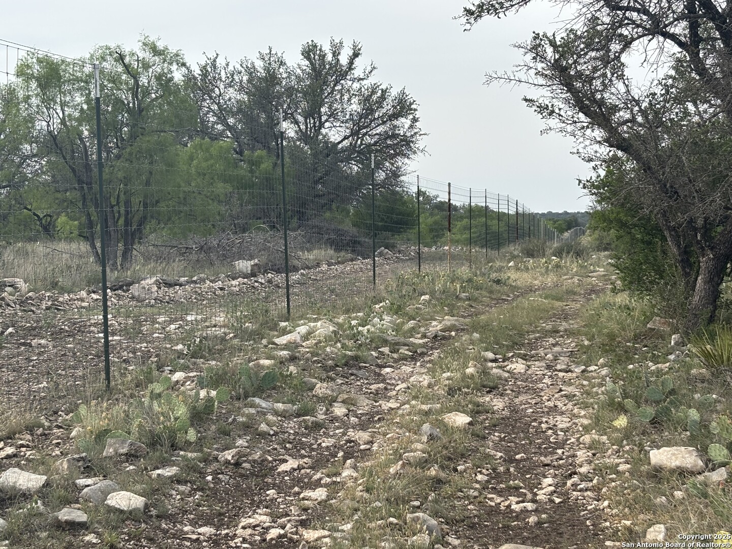 1085 Fallow Road Christoval, TX 76935 - Photo 8 of 26 a backyard of a house with lots of green space