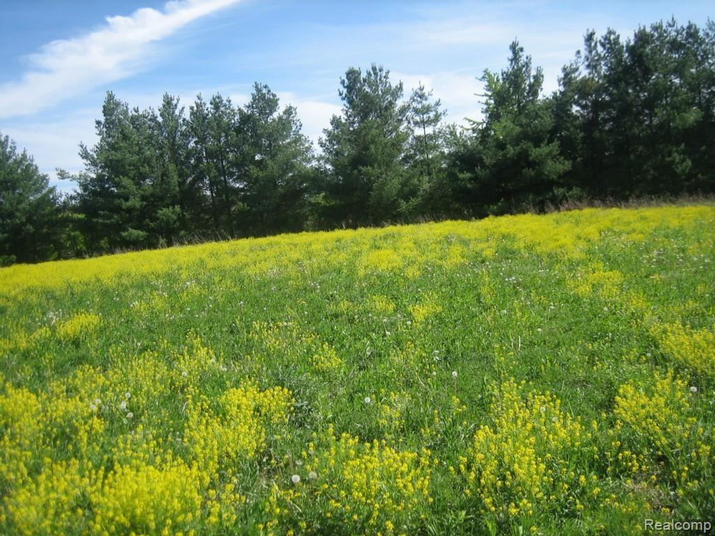 0 Lothrop Road Imlay City, MI 48444 - Photo 9 of 9