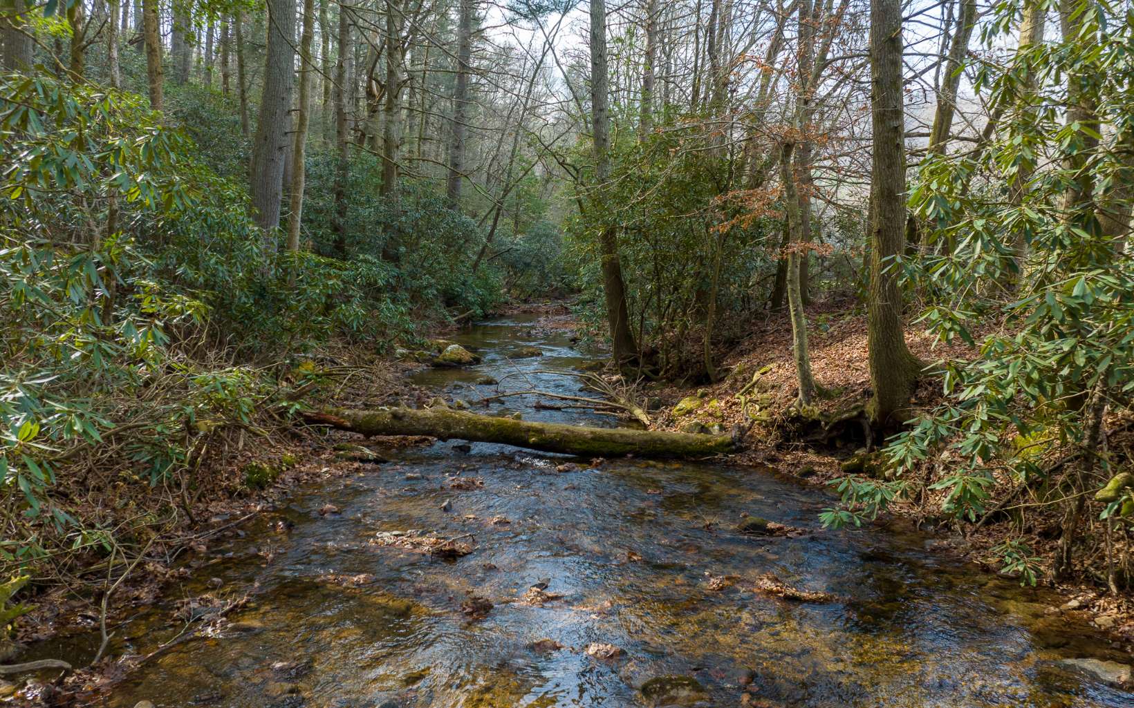 5200 Old Bucktown Road Ellijay, GA 30536 - Photo 12 of 14 Additional View