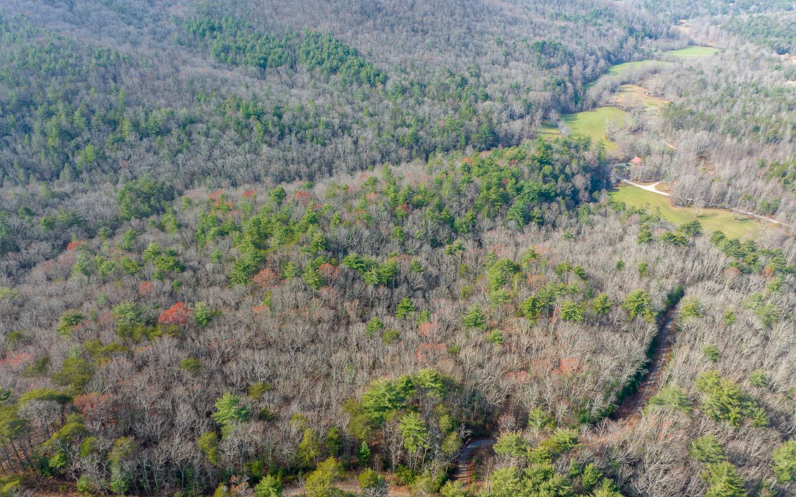 5200 Old Bucktown Road Ellijay, GA 30536 - Photo 13 of 14 Additional View