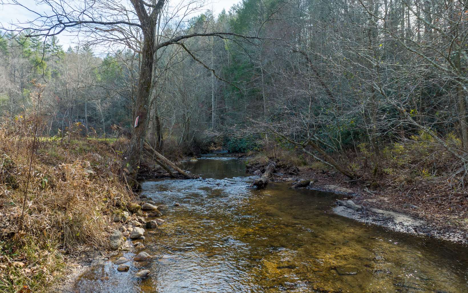 5200 Old Bucktown Road Ellijay, GA 30536 - Photo 4 of 14 Additional View