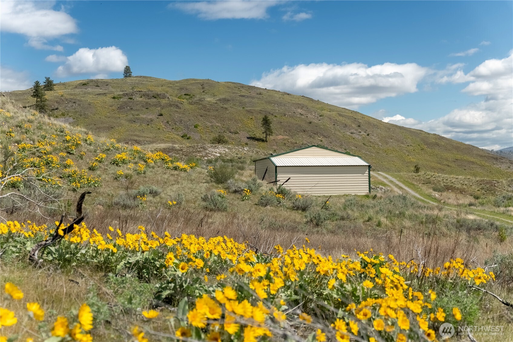 26 Alkali Lake Road Riverside, WA 98849 - Photo 25 of 31