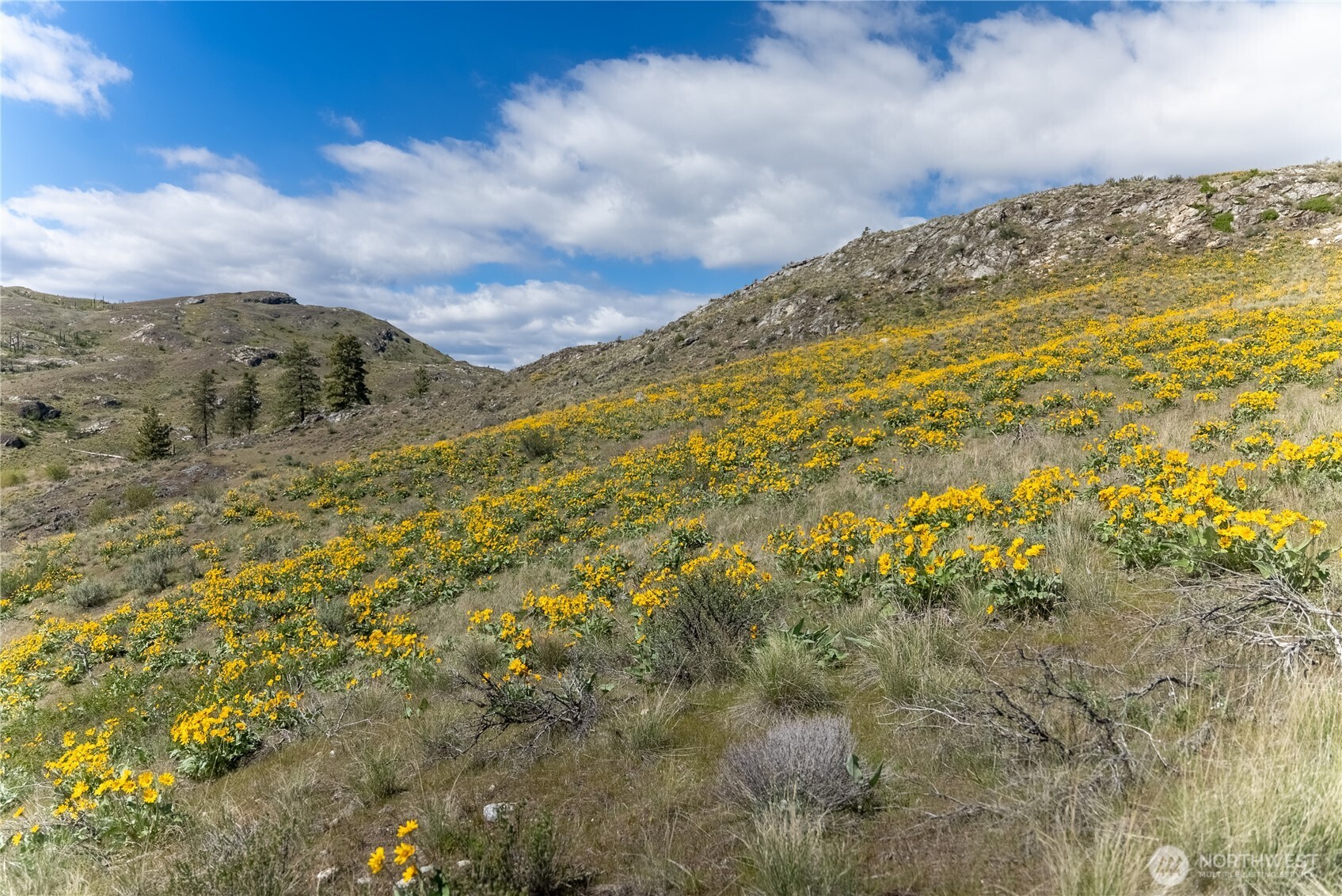 26 Alkali Lake Road Riverside, WA 98849 - Photo 26 of 31