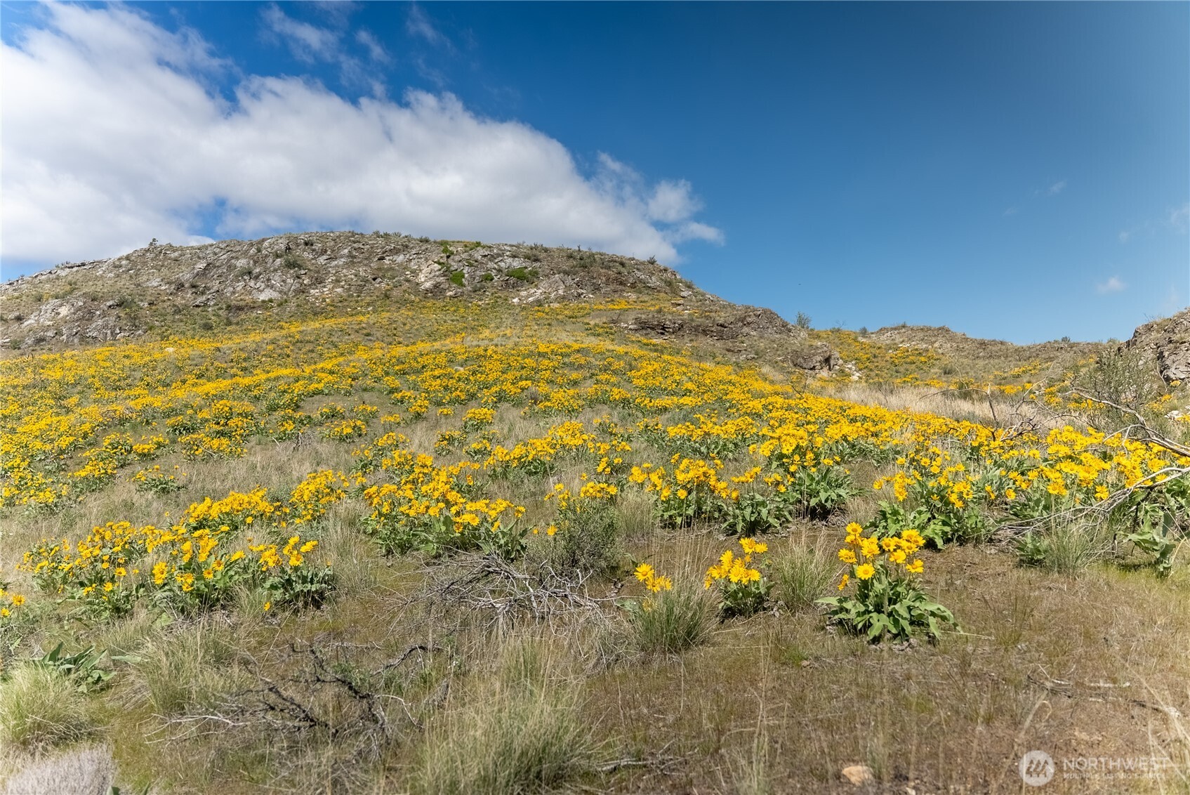 26 Alkali Lake Road Riverside, WA 98849 - Photo 27 of 31